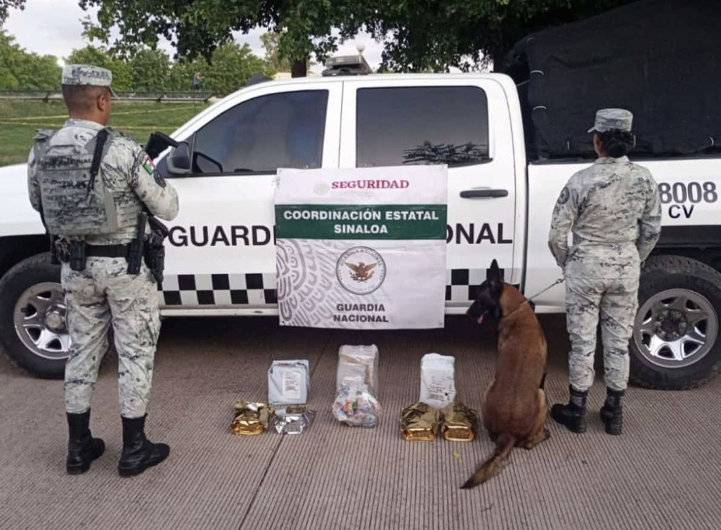 Guardia Nacional asegura marihuana y vapeadores en negocio de mensajería en Culiacán